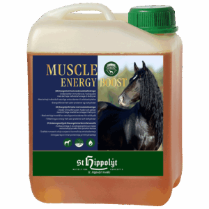 Muscle Energy Boost, 2,5 litra