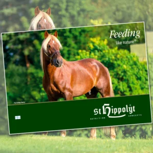 St. Hippolyt Katalogi - 1 kpl